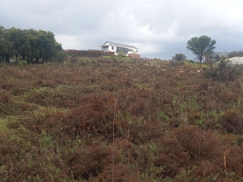 A view of a vacant residential plot featuring natural, overgrown vegetation and a gentle slope, situated in a quiet neighborhood setting.