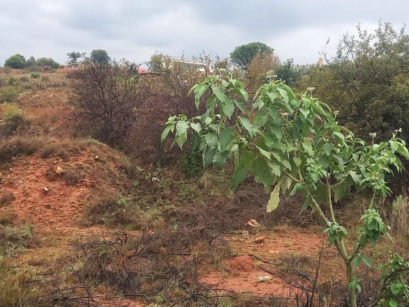 A view of an undeveloped residential plot featuring natural vegetation, uneven terrain, and raw earth, suitable for custom building projects.