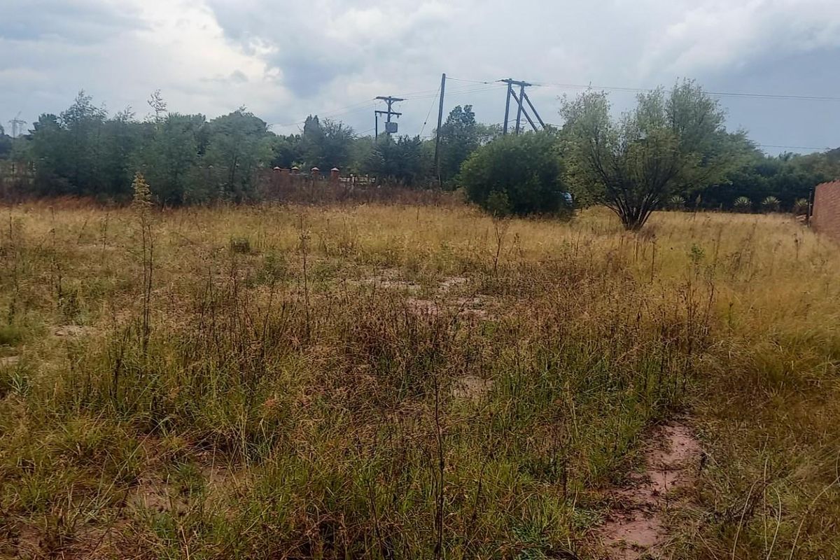 A vacant residential plot featuring overgrown grass and a brick boundary wall, offering a blank canvas for future development.
