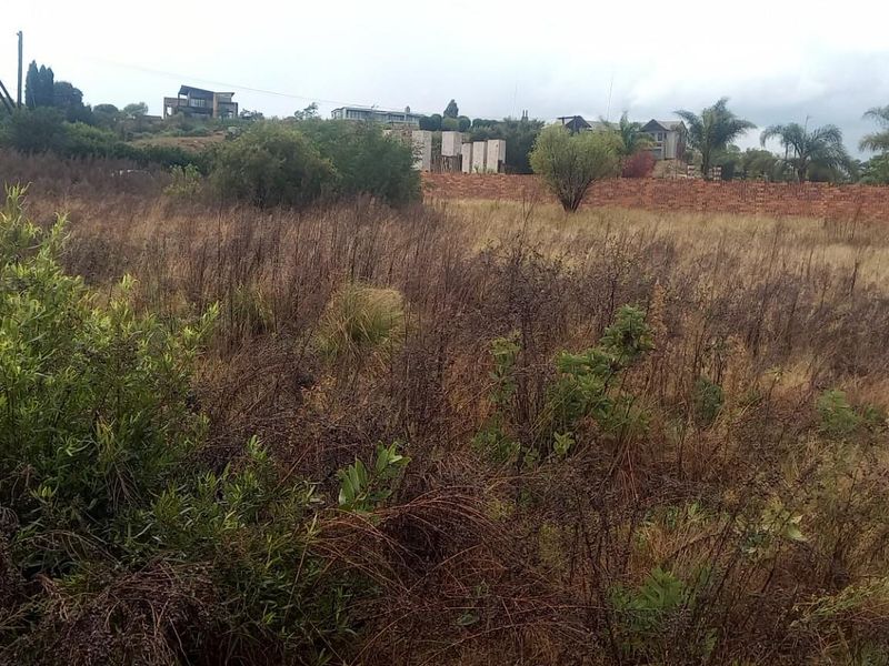 A view of a vacant residential plot featuring established perimeter brick walling and surrounding neighborhood vegetation.