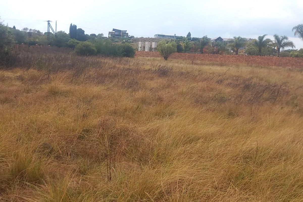 A view of a vacant residential plot featuring natural grass coverage and a perimeter brick wall in the background.