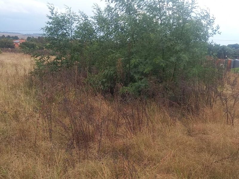 A view of a vacant residential plot featuring overgrown grass and established shrubs, with neighboring residential properties visible in the background.