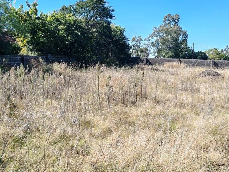 Vacant Land For Sale in Metsimaholo, Oranjeville - Photo 6