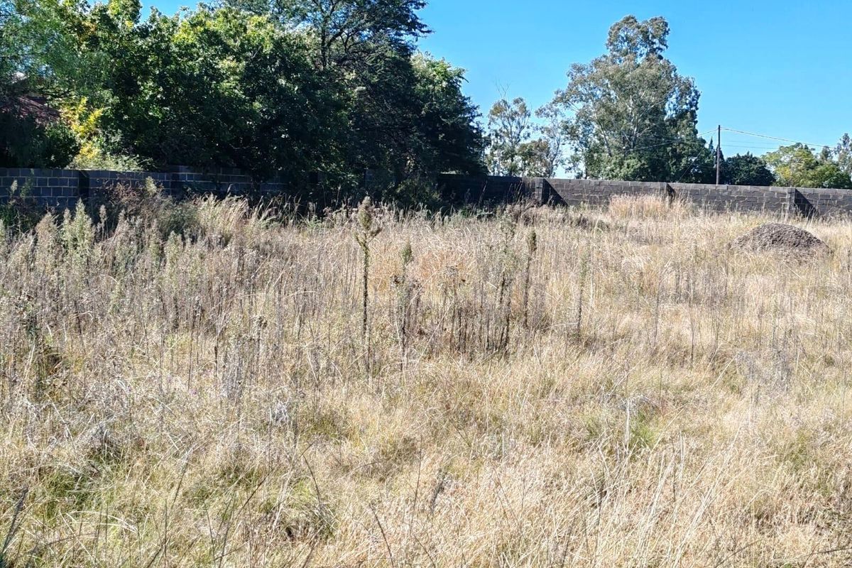 A vacant residential plot featuring overgrown grass and a perimeter masonry boundary wall, surrounded by mature trees.