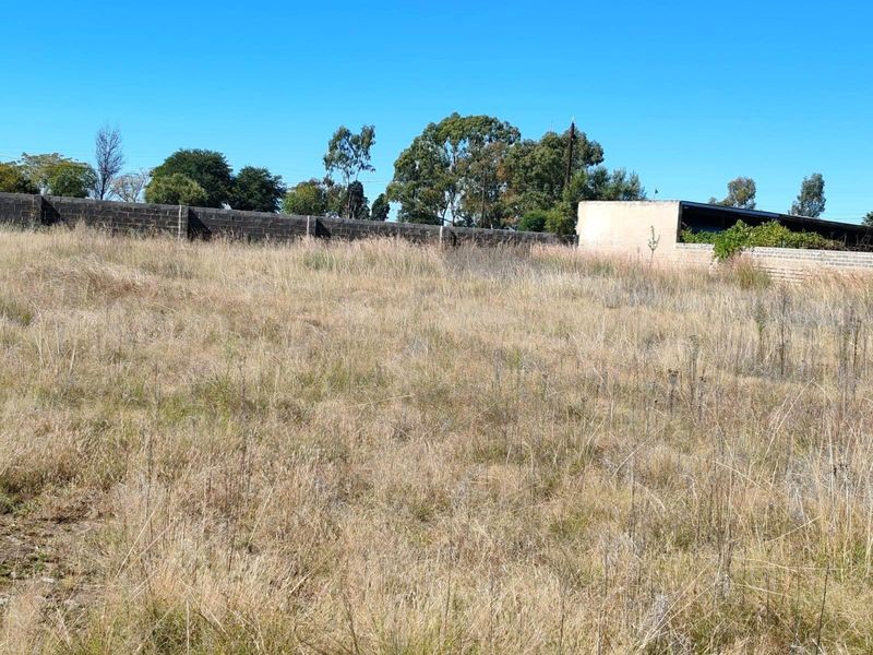 Vacant Land For Sale in Metsimaholo, Oranjeville - Photo 8