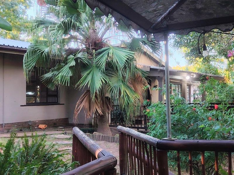 A covered outdoor patio area featuring a timber railing, overlooking a garden with mature palm trees and established landscaping.