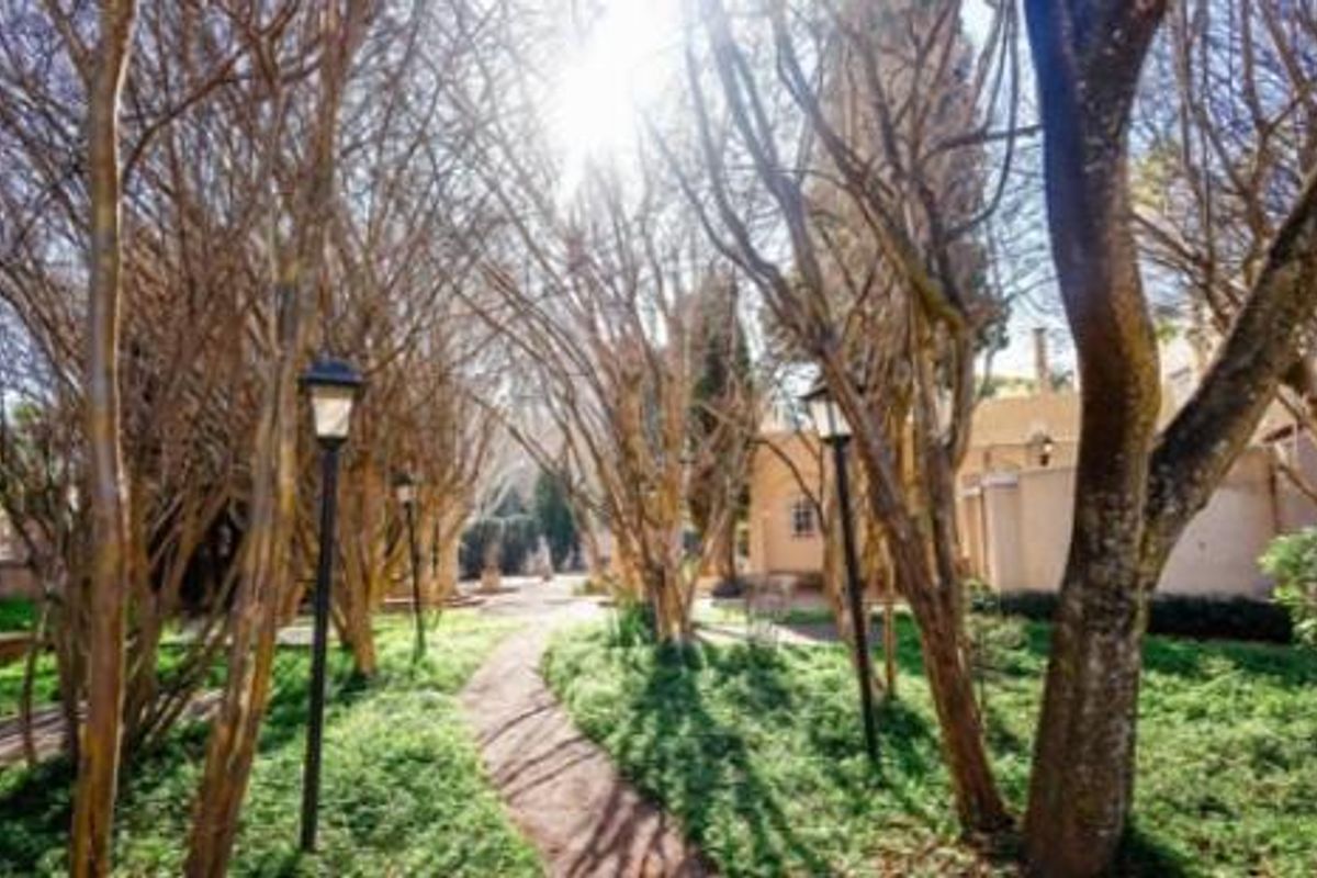 Stunning Heritage Characterful Commercial Property To Rent in Johannesburg - Photo 3