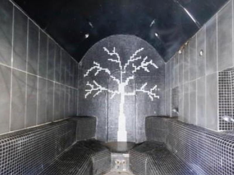 A dedicated steam room featuring black mosaic tile finishes, built-in bench seating, and a decorative tree mosaic feature wall.