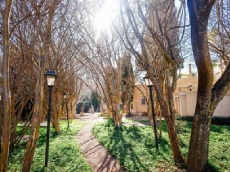 A serene garden pathway lined with mature trees and integrated lamp posts, leading towards the commercial property building.