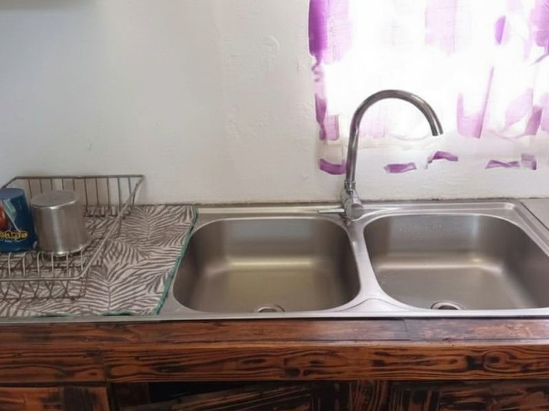 A kitchen sink area featuring a double stainless steel basin with a modern mixer tap set into a rustic wooden countertop.