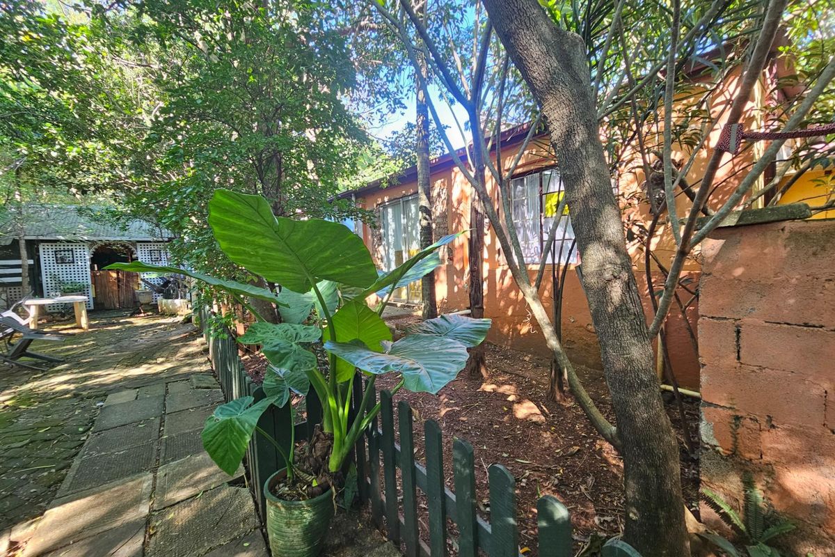 A view of the rear garden area featuring mature trees, paved pathways, and the exterior wall of the house.