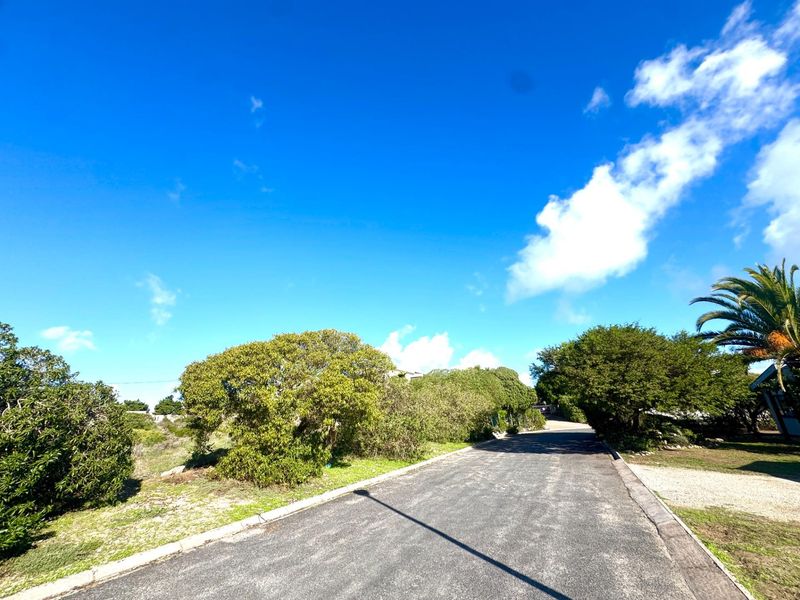 A view of the paved street and surrounding natural vegetation on this vacant residential land plot.