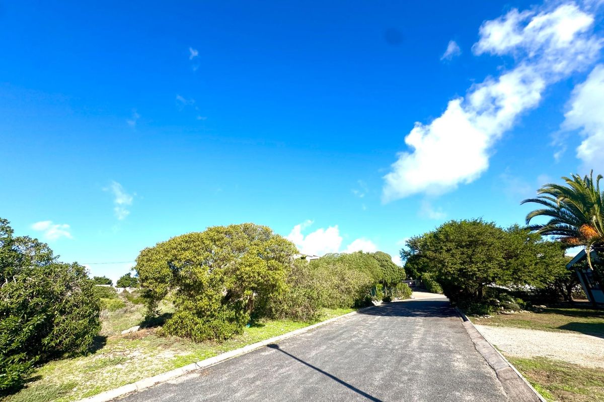 A view of the paved street and surrounding natural vegetation on this vacant residential land plot.