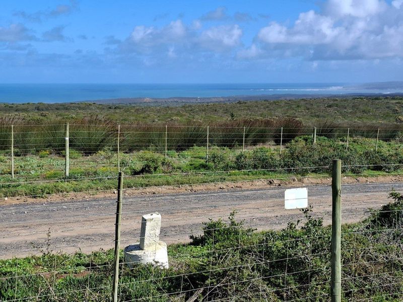 Expansive coastal landscape view featuring natural vegetation, a gravel access road, and perimeter wire fencing on a rural farm property.