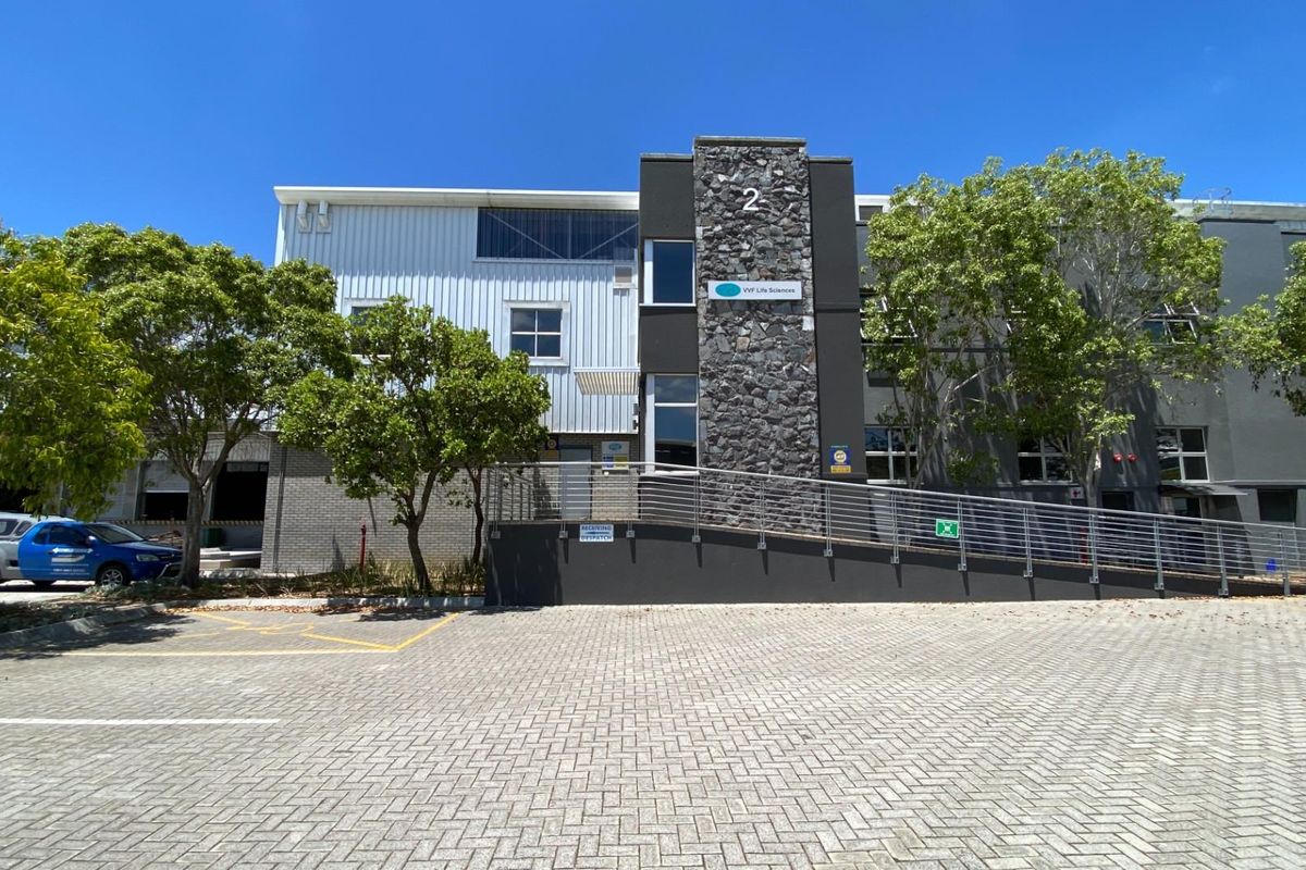 6,075m2 Warehouse To Let in Montague Gardens, Cape Town | Distribution and Logistics Facility - Photo 5