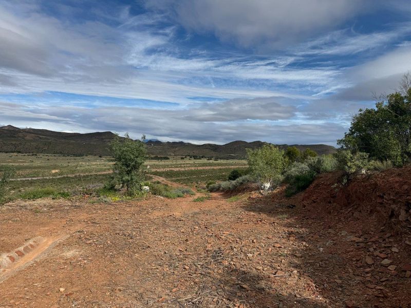 Farm For Sale in Van Wyksdorp, Ladismith - Photo 10