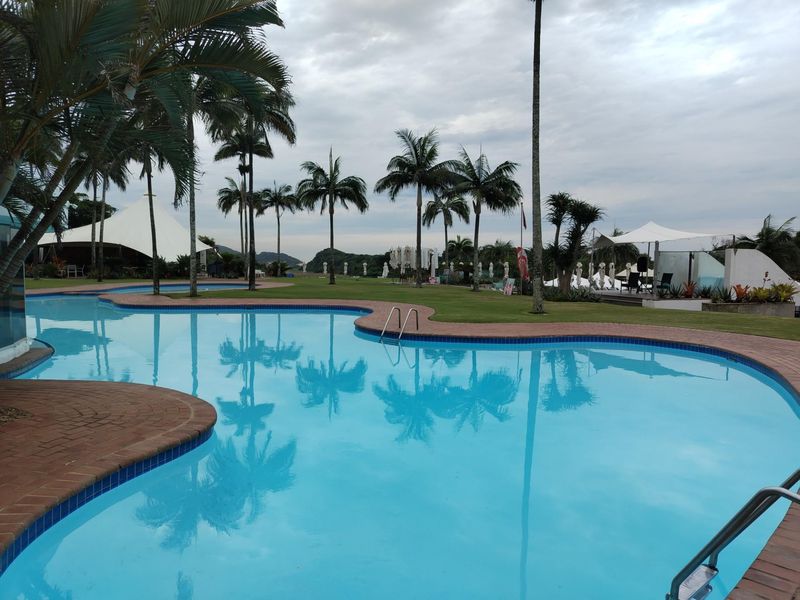 A well-maintained outdoor swimming pool area featuring a curved design, brick coping, and surrounding landscaped gardens with mature palm trees.