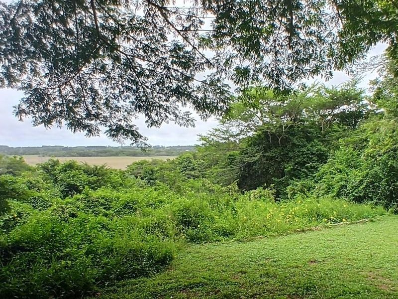A scenic view of the surrounding natural landscape, featuring lush greenery, mature trees, and an open grass area.