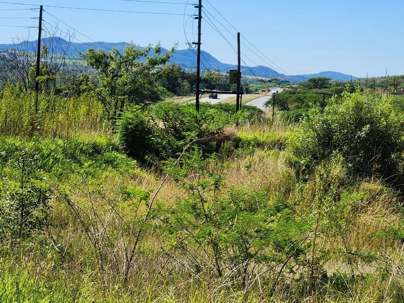 A view of the surrounding landscape and nearby road infrastructure from the property, featuring natural vegetation and utility poles.