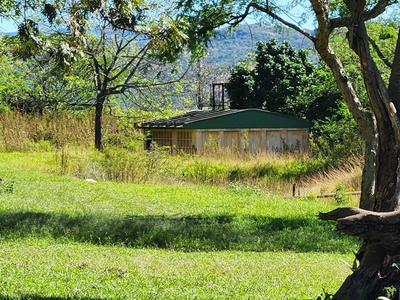 A view of a small, weathered outbuilding situated on a rural farm property, surrounded by overgrown grass and mature trees.