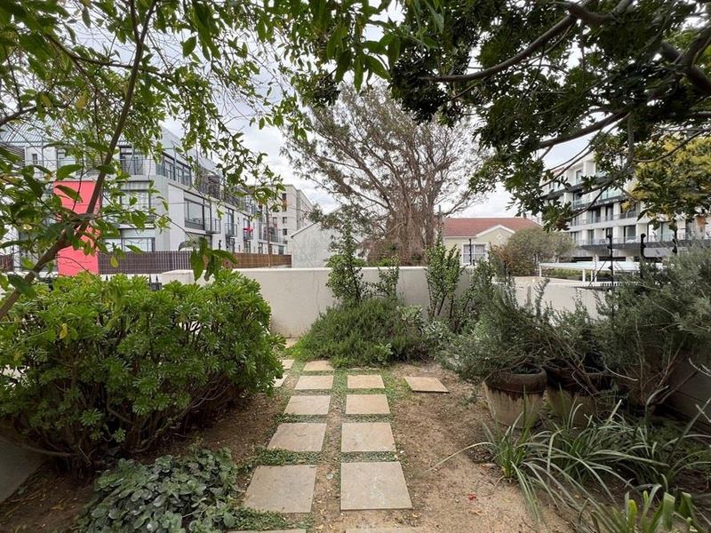Three Bedroom Victorian House To Rent in Observatory - Photo 3