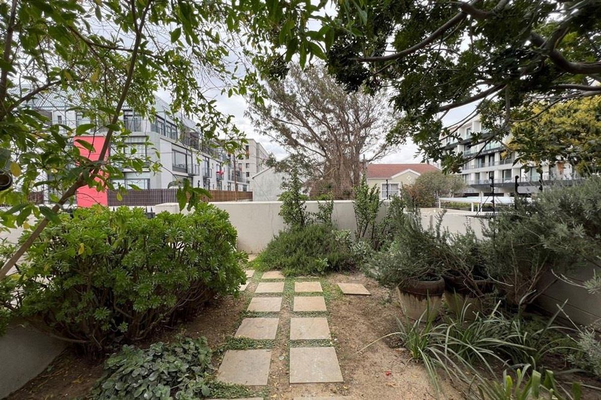 Three Bedroom Victorian House To Rent in Observatory - Photo 3
