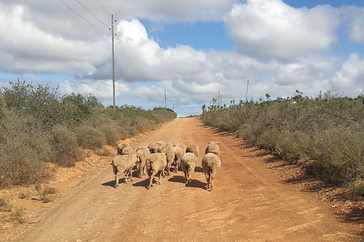 Farm For Sale in Rocklands, Port Elizabeth Rural, Port Elizabeth - Photo 2