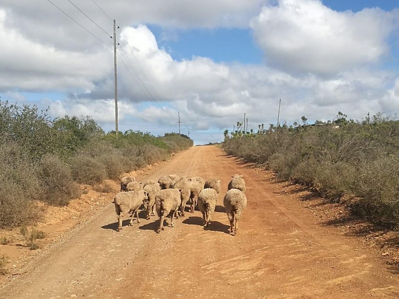 Farm For Sale in Rocklands, Port Elizabeth Rural, Port Elizabeth - Photo 2
