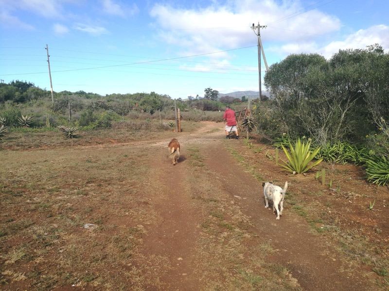 Farm For Sale in Rocklands, Port Elizabeth Rural, Port Elizabeth - Photo 6
