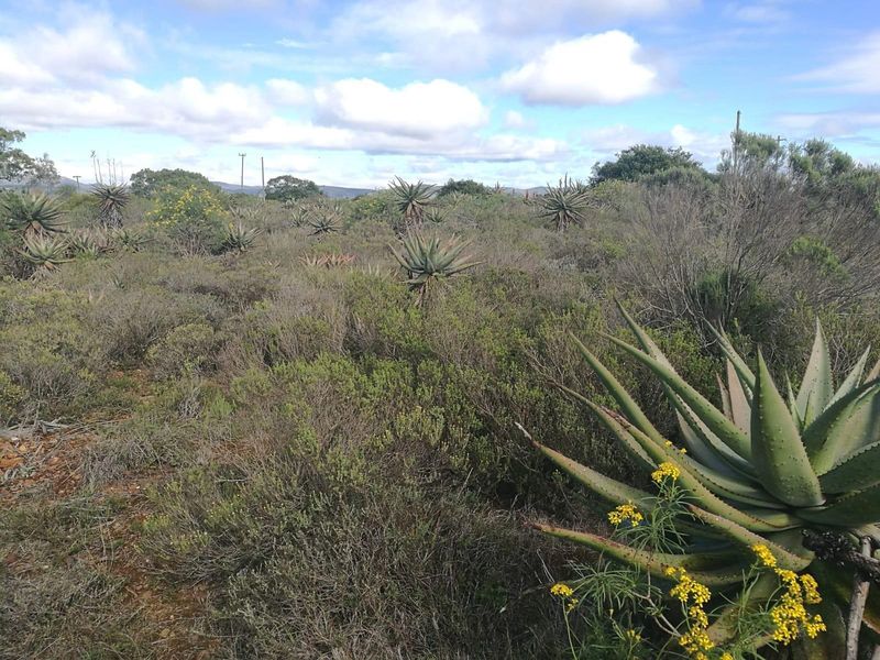 Farm For Sale in Rocklands, Port Elizabeth Rural, Port Elizabeth - Photo 4