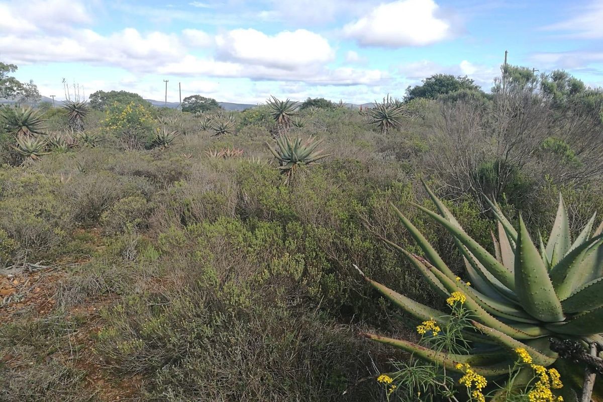 Farm For Sale in Rocklands, Port Elizabeth Rural, Port Elizabeth - Photo 4