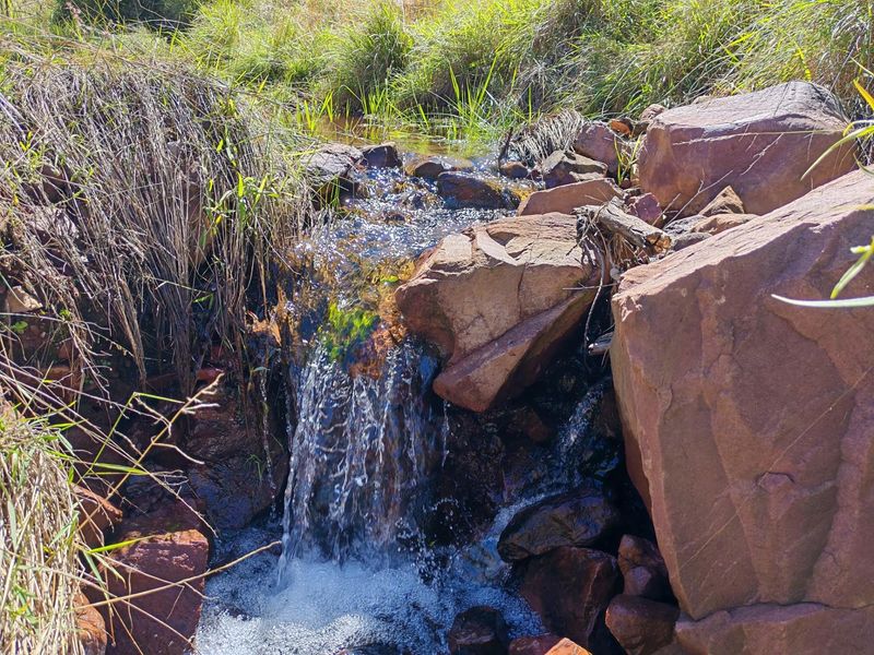 Cattle and Game Farm with abundant water and infrastructure for sale near Modimolle - Photo 3
