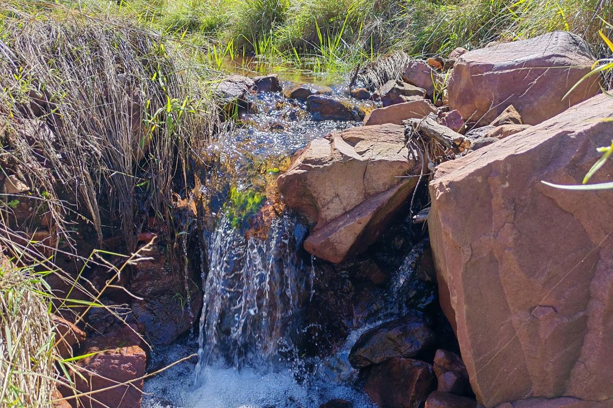 Cattle and Game Farm with abundant water and infrastructure for sale near Modimolle - Photo 3