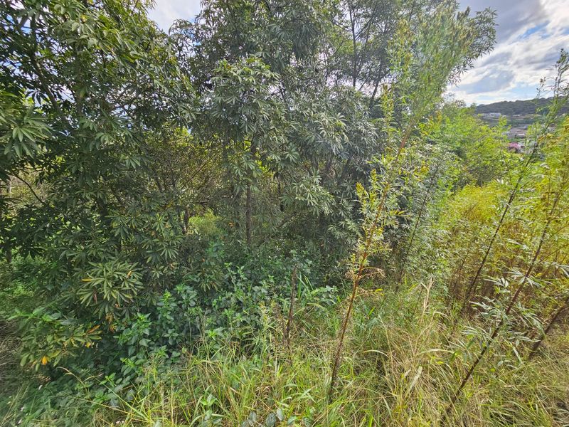 Vacant Land For Sale in Drum Rock Nelspruit - Photo 6