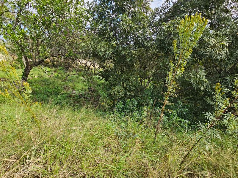 Vacant Land For Sale in Drum Rock Nelspruit - Photo 5