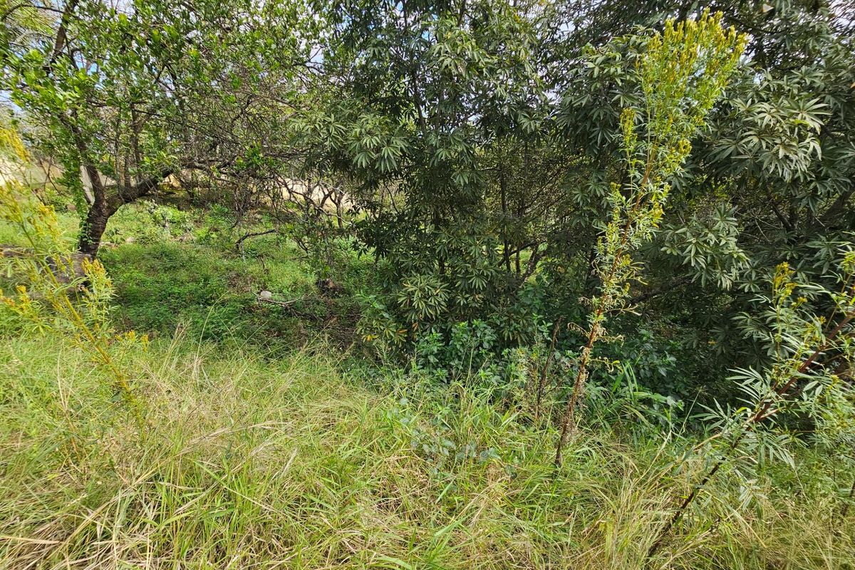 Vacant Land For Sale in Drum Rock Nelspruit - Photo 5