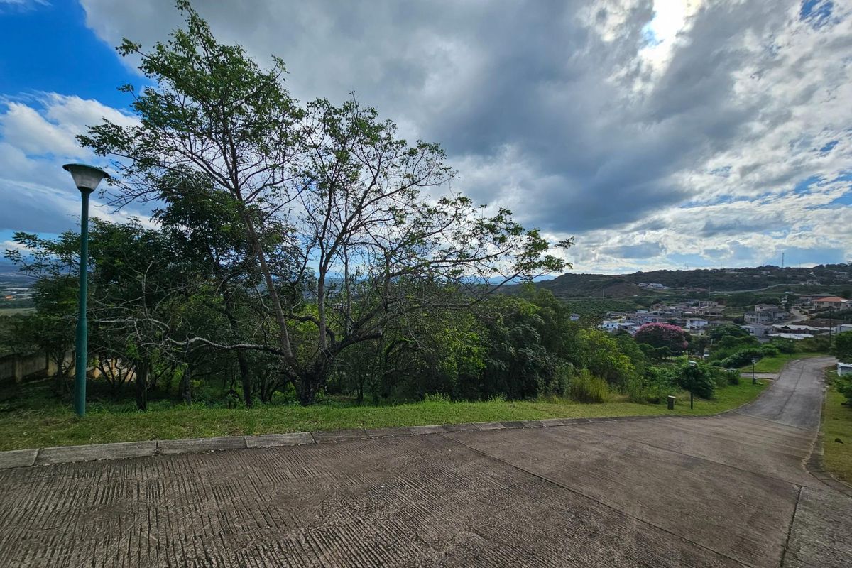 Vacant Land For Sale in Drum Rock Nelspruit - Photo 3
