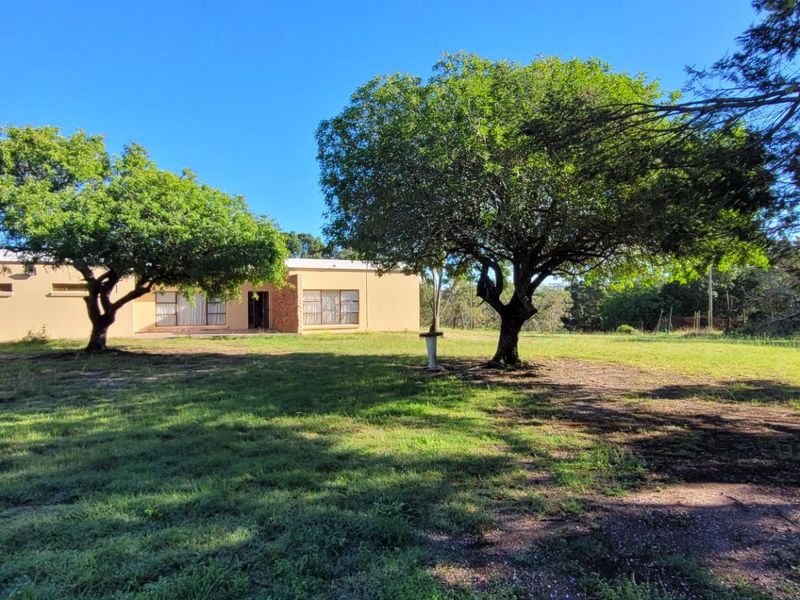 10.1 HA Farm for sale,with 5 Bedroom family home and Flatlet For Sale in Greenbushes,PE - Photo 1
