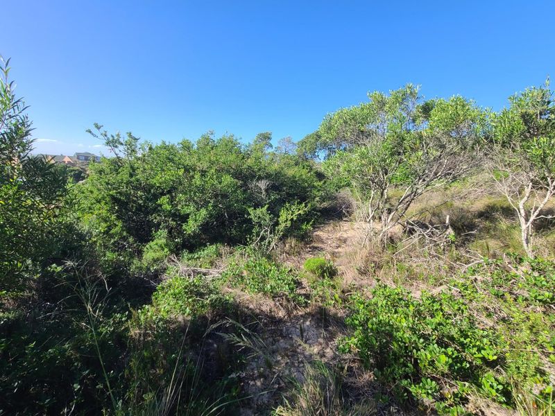 Spectacular westerly views in Paradise Beach - Photo 8