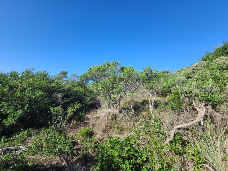 Spectacular westerly views in Paradise Beach - Photo 5