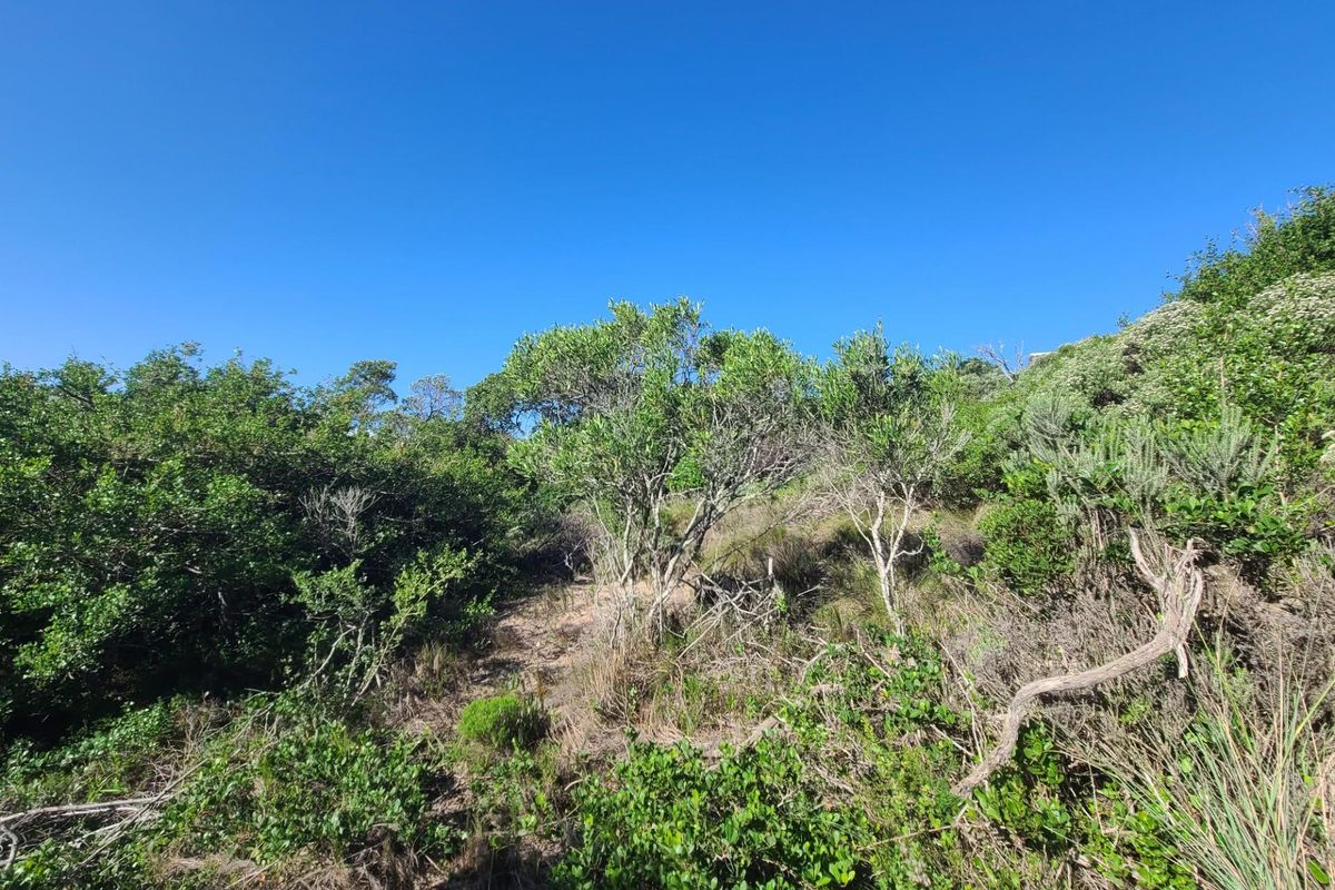 Spectacular westerly views in Paradise Beach - Photo 5
