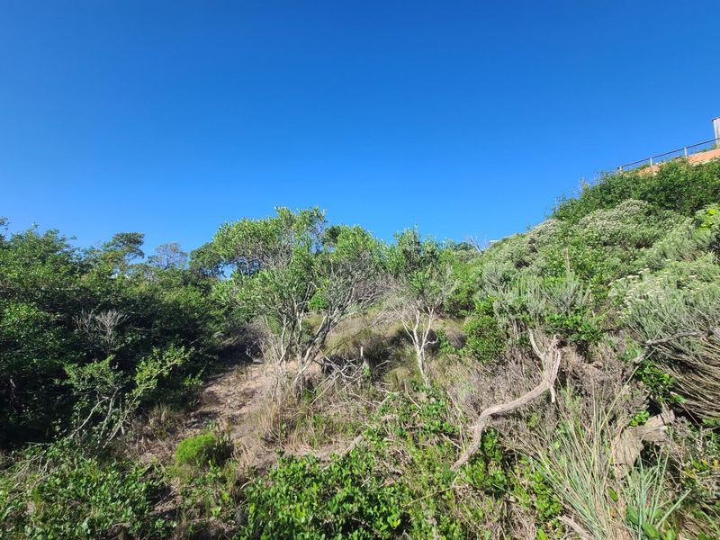 Spectacular westerly views in Paradise Beach - Photo 7