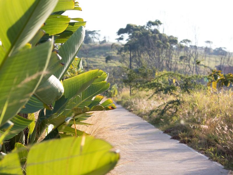Modern Single-Level Home Zululami - Photo 9