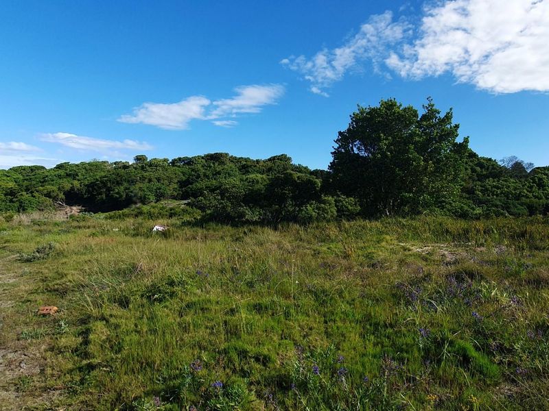 Paradise Beach stand bordering greenbelt in quiet cul-de-sac - Photo 8