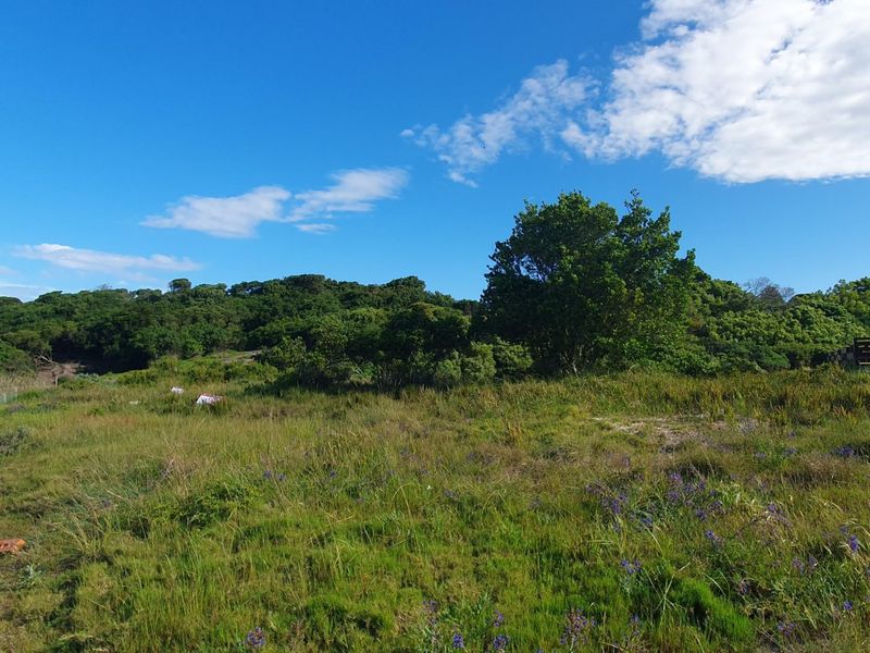 Paradise Beach stand bordering greenbelt in quiet cul-de-sac - Photo 1