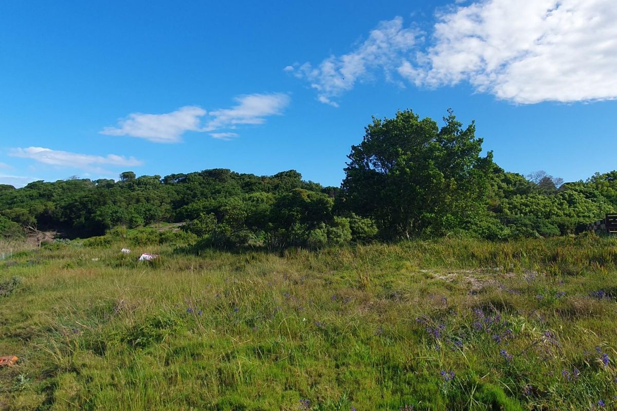 A view of the vacant residential land featuring natural grass, native vegetation, and mature trees under a clear blue sky.