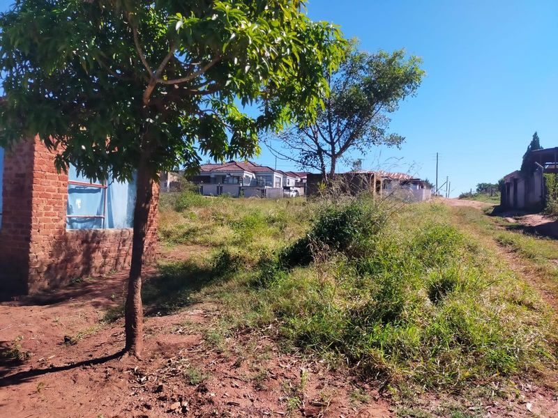 A view of a vacant residential plot featuring overgrown grass, mature trees, and an adjacent partially constructed brick structure.