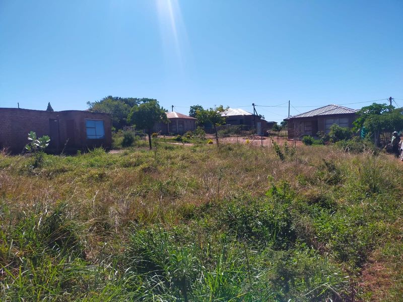 A view of a residential plot featuring multiple existing structures and significant overgrown vegetation, offering potential for development or landscaping.