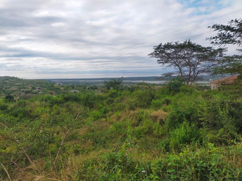 Vacant Land For Sale in Tshilungoma, Thohoyandou Rural - Photo 4