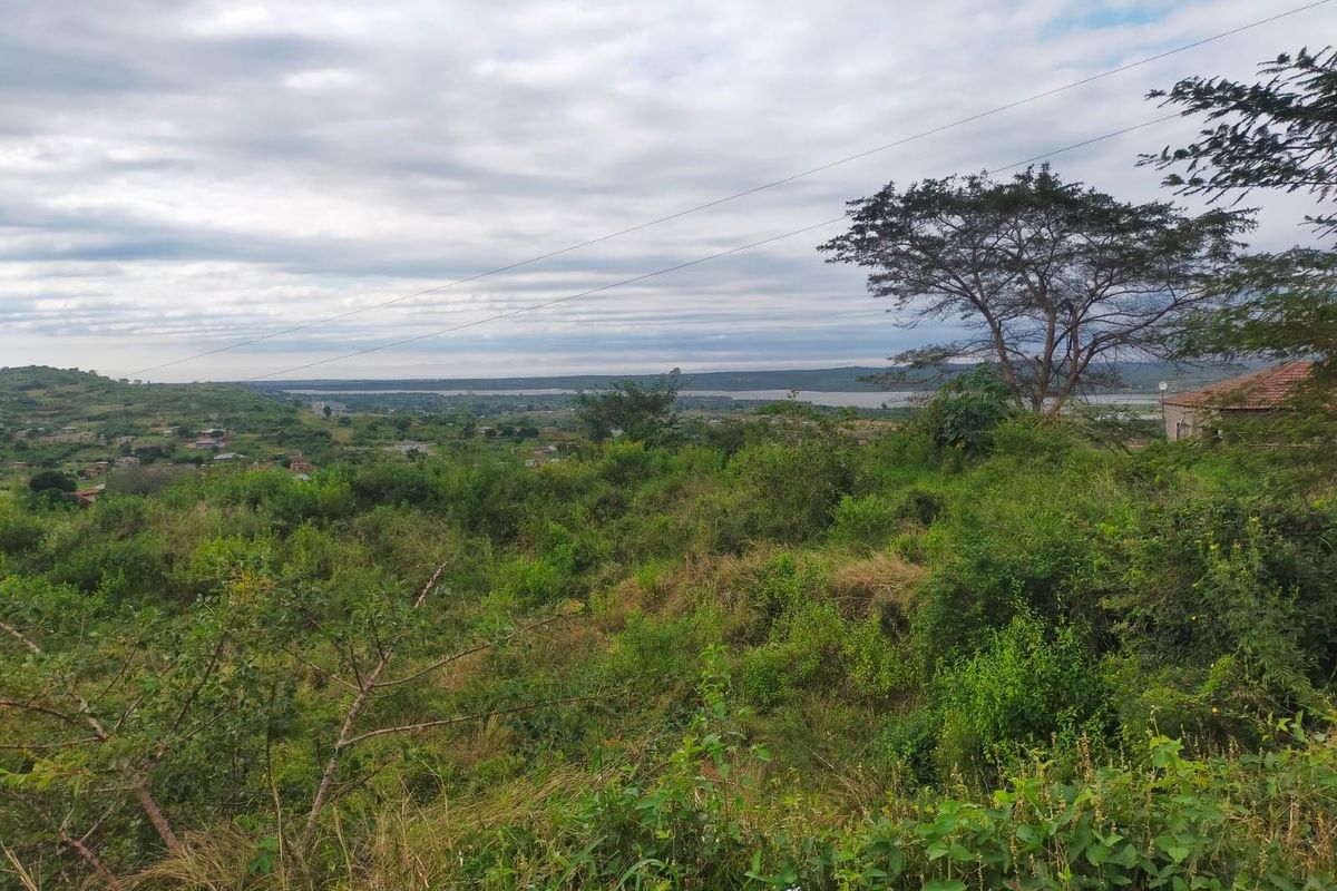 Vacant Land For Sale in Tshilungoma, Thohoyandou Rural - Photo 4